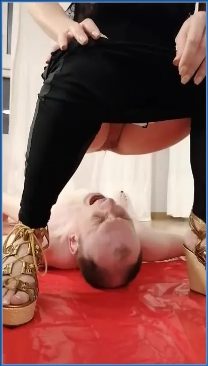 Bitch Toilet Bowl - Femdom Fetish, Israel - shit porn video at ShitSlaves.com