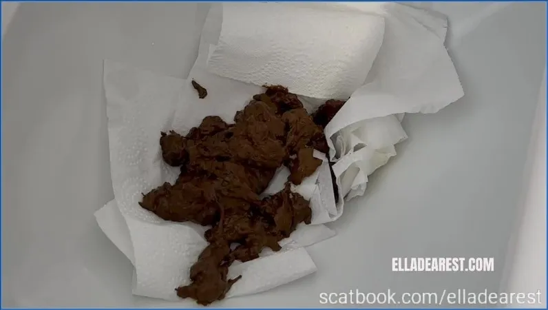 Ella Dearest's Mountain Load Gone to Waste, Farting & Pissing - shit porn video at ShitSlaves.com