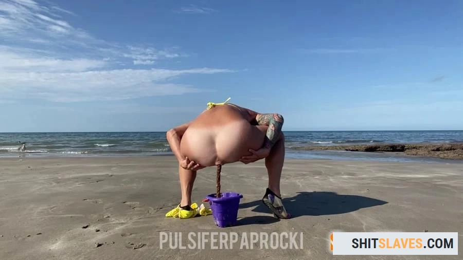 PulsiferPaprocki - Beach Bucket Poopd [FullHD 1080p] (98.6 MB)