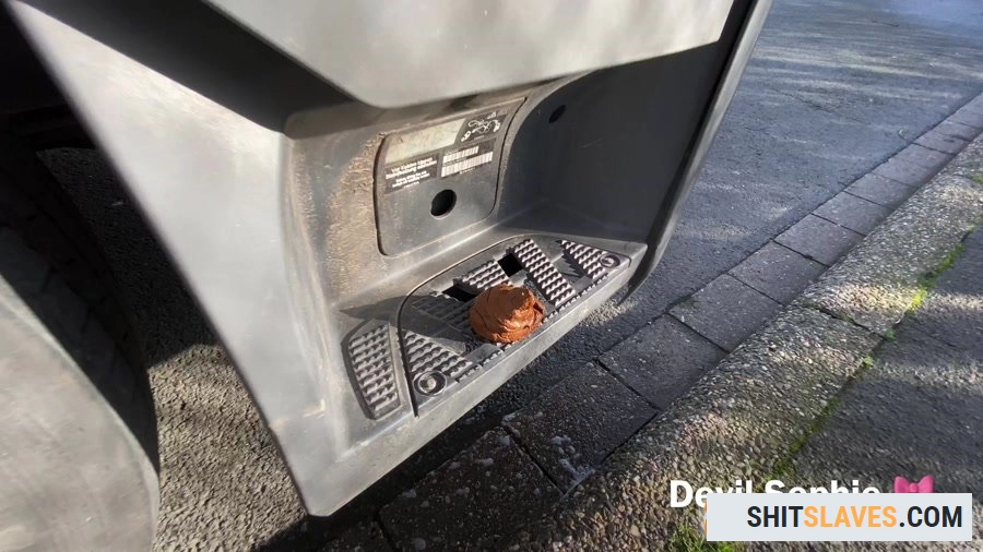 Devil Sophie - OMG - how does the shit get onto the truck running board (Shit, Fetish, Poop) [UltraHD 4K] (338 MB)