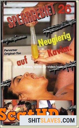 Girls - Sperrgebiet-26 [DVDRip] (555 MB)