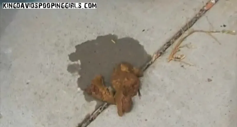 Alina: Daisy Outdoor Dump SD - shit porn video at ShitSlaves.com