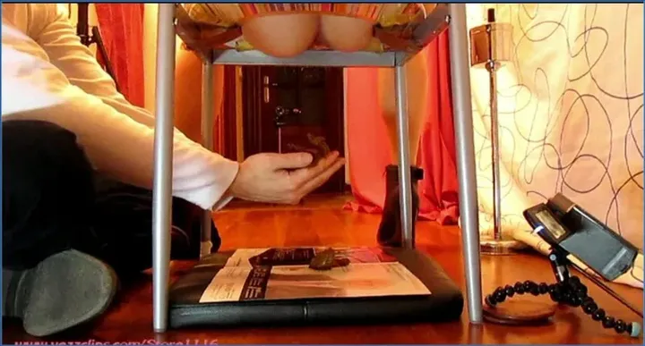 Shopping with Your Credit Card and Two Can't-miss Gifts - Teens Femdom Scat - shit porn video at ShitSlaves.com