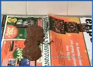 Ana Didovic's Explosive, Anal SD - shit porn video at ShitSlaves.com