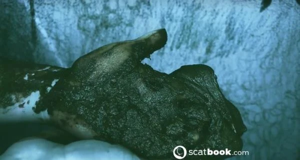 I CAN touch YOU with IT! [HD 720p] (197.27 MB) Scatbook