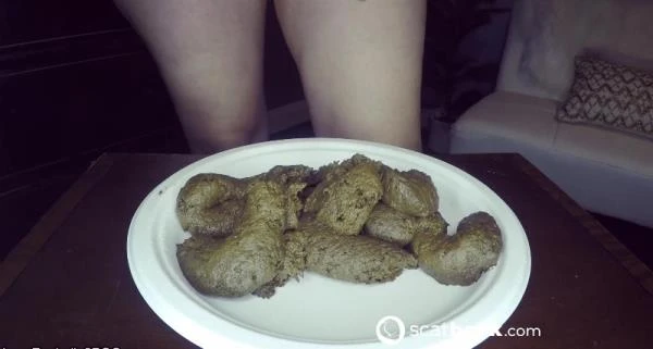 A Scat Loser's JOI To My Shit [FullHD 1080p] (223.53 MB) Scatbook
