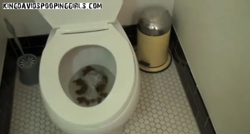Drew Huge Toilet Poop! (KingDavidsPoopingGirls) - Alina - shit porn video at ShitSlaves.com