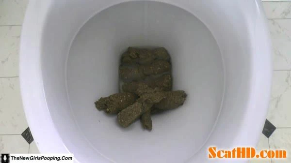 ShitGirl - Toilet Destroyed In 5 Mins [FullHD 1080p] (471 MB)