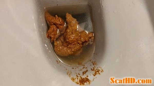 AinaraX - Big Load in the WC [FullHD 1080p] (1.12 GB)