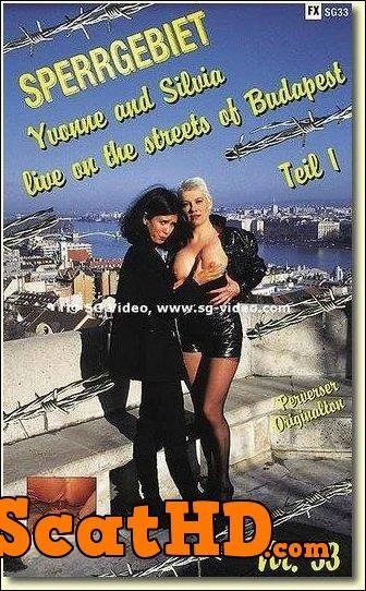 Girls - Sperrgebiet-33 [DVDRip] (471 MB)