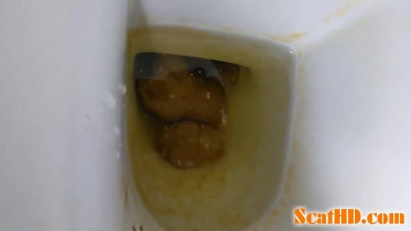 PooGirlSofia - Talking on the toilet whilst shitting [FullHD 1080p] (735 MB)