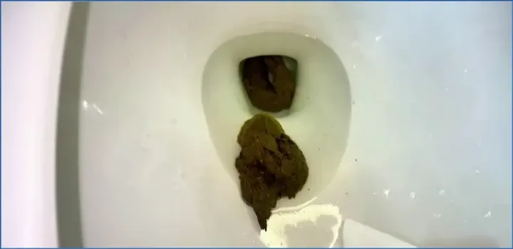 01 - 14 Shits in February Compilation - Solo Fetish (USA) - shit porn video at ShitSlaves.com