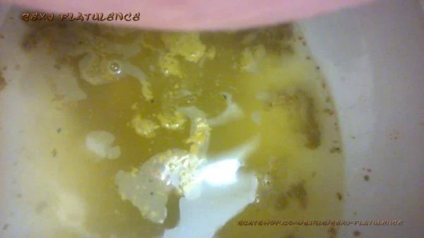 Diarrhea In The Toilet - Milf, Solo [FullHD 1080p] 365 MB