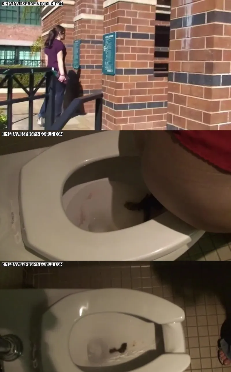 Download Alina: Shante Public Restroom Pooping (KingDavidsPoopingGirls) ShitSlaves.com