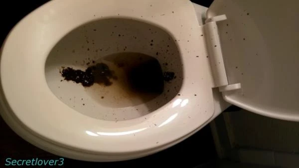 Toilet Spray - Poop, Amateur [FullHD 1080p] 568 MB