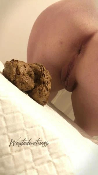 Wastedwetness - Sitting And Shitting - Dirty Anal, Toilet [FullHD 1080p] 57.3 MB
