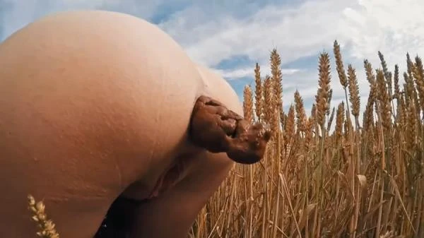 HUGE Summer Field Poop - Germany, Dirty Anal [HD 720p] 24.0 MB