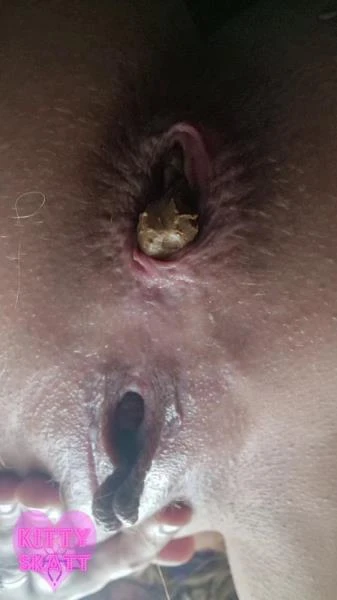 Festival Constipation - Big Shit, Solo [SD] 517 MB