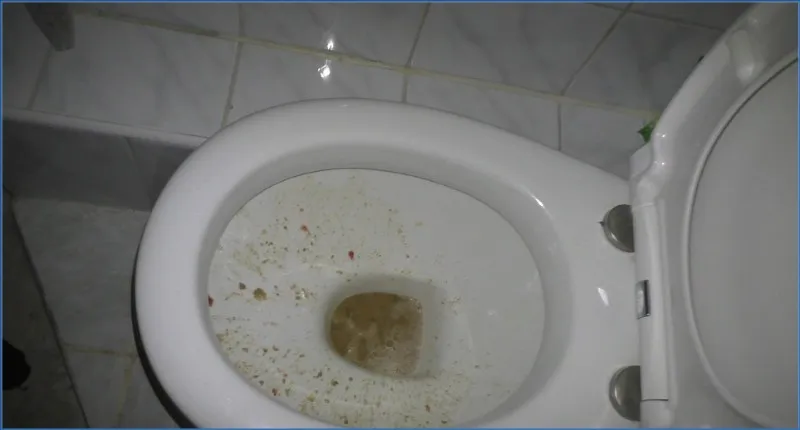 HotDirtyIvone's Vomit Fountain (A), USA - shit porn video at ShitSlaves.com