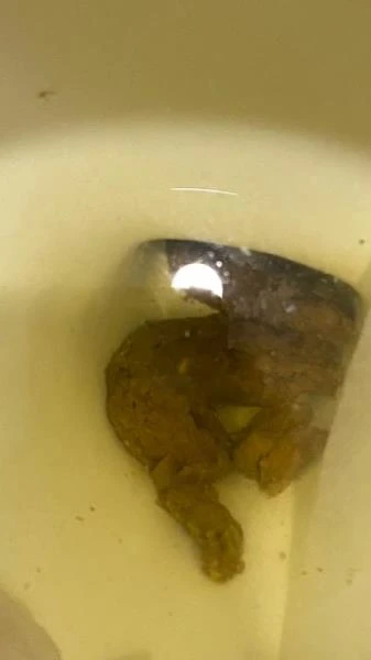 Shitting On The Bathroom Floor At Work - Poop, Big Ass [SD] 347 MB