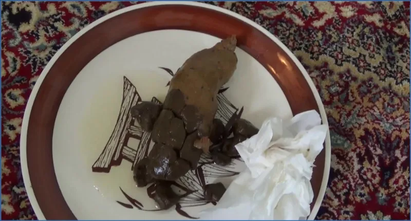 Poop on a Plate - Tegan - shit porn video at ShitSlaves.com