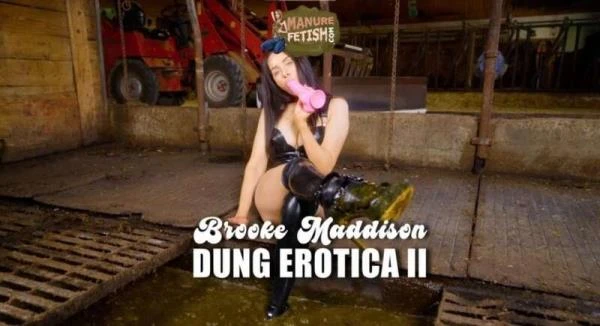Scat Dung Erotica 2 - Cow Shit Fetish [HD 720p] 971.5 MB