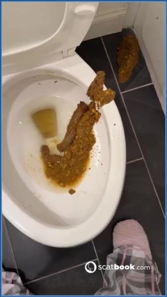Bossys Bathroom Blunder A Splattered Catastrophe [SiteRip] (9.86 MB) Scatbook