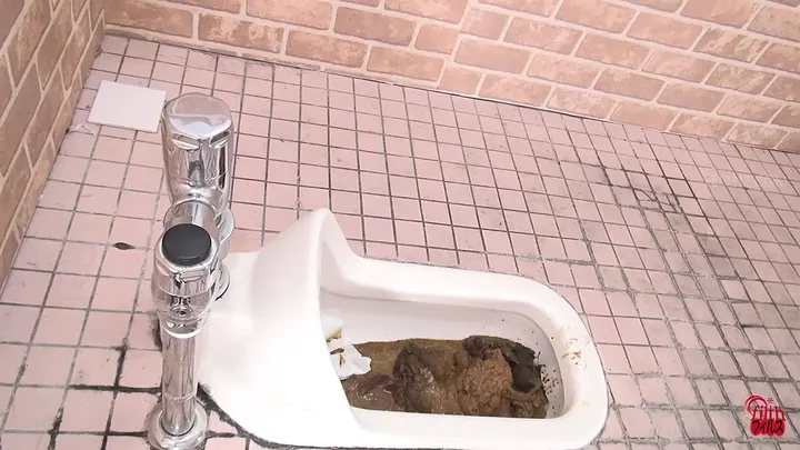 Japanese Scat Video: Stinky Poops and Overloaded Toilets - shit porn video at ShitSlaves.com